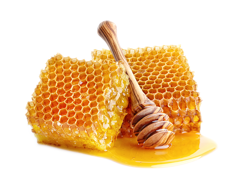 Bee Newsletter